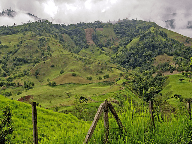 Andean (Colombia) Regional Picture (04)