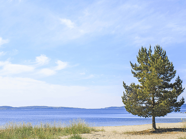 North (Sweden) Regional Picture (04)
