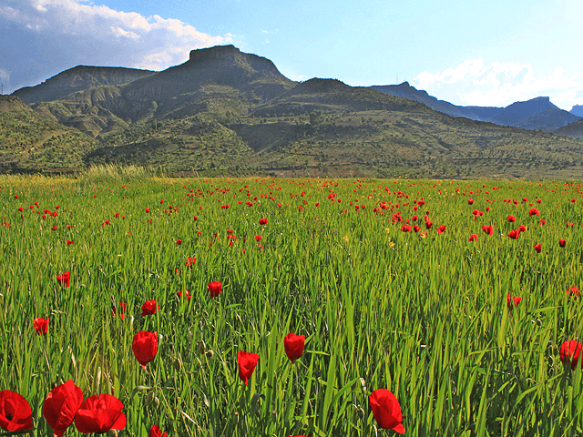 Southeastern Anatolia (Turkey) Regional Picture (02)