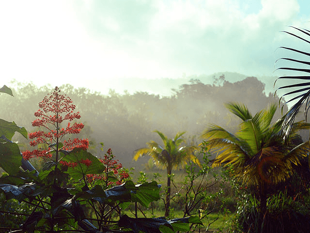 French Guiana Country Picture (01)