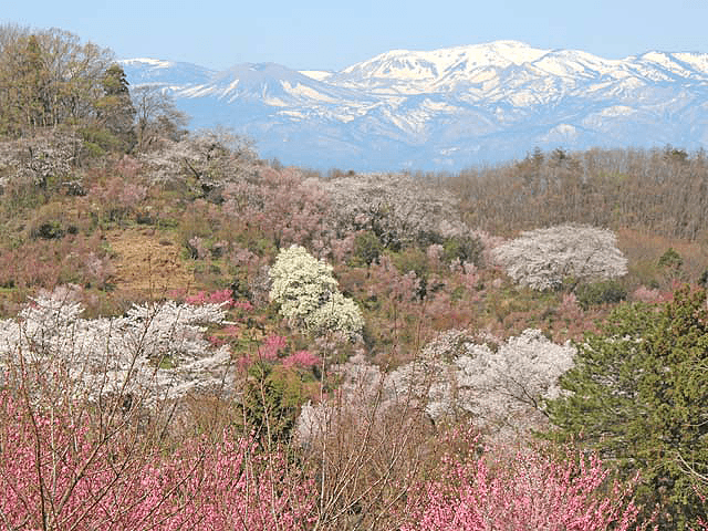 Tohoku (Japan) Regional Picture (01)