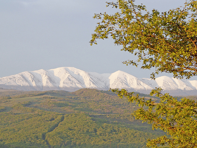 North Caucasian (Russia) Regional Picture (01)