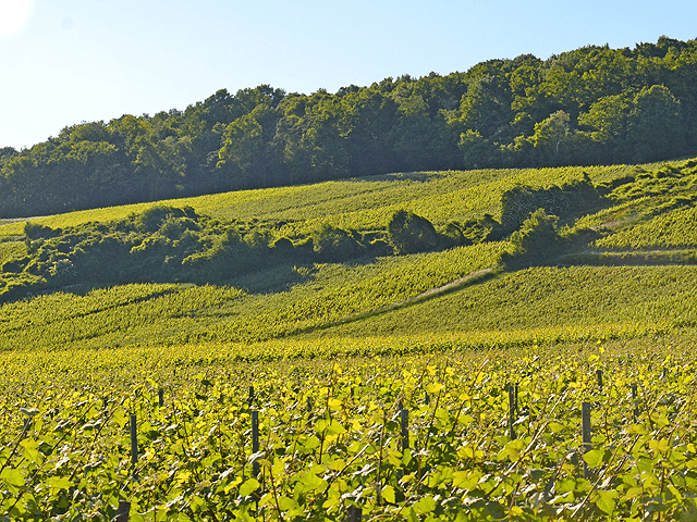 Champagne-Ardenne (France) Regional Picture (03)