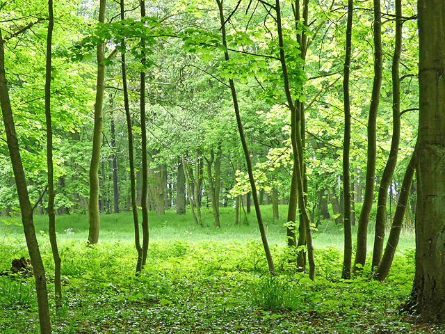 Upper Normandy (France) Regional Picture (03)