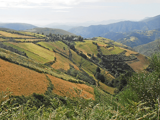 Midi-Pyrenees (France) Regional Picture (02)