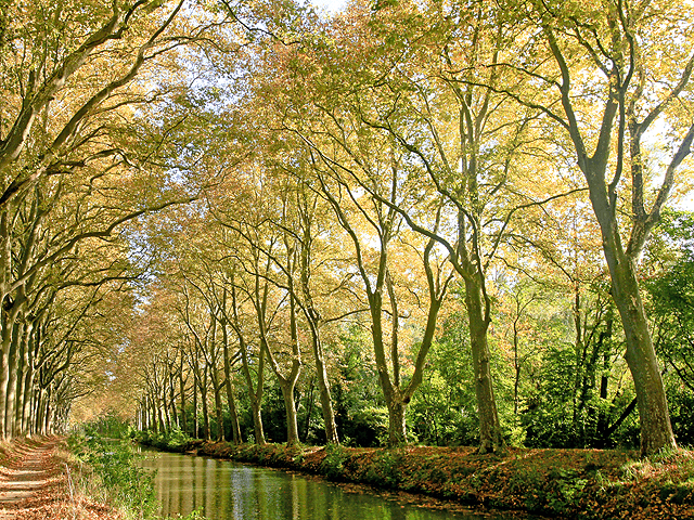 Midi-Pyrenees (France) Regional Picture (03)