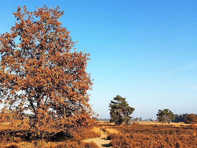 North Brabant (Netherlands) Regional Picture (02)