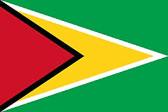 Guyana Flag