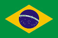 Brazil Flag (Large)